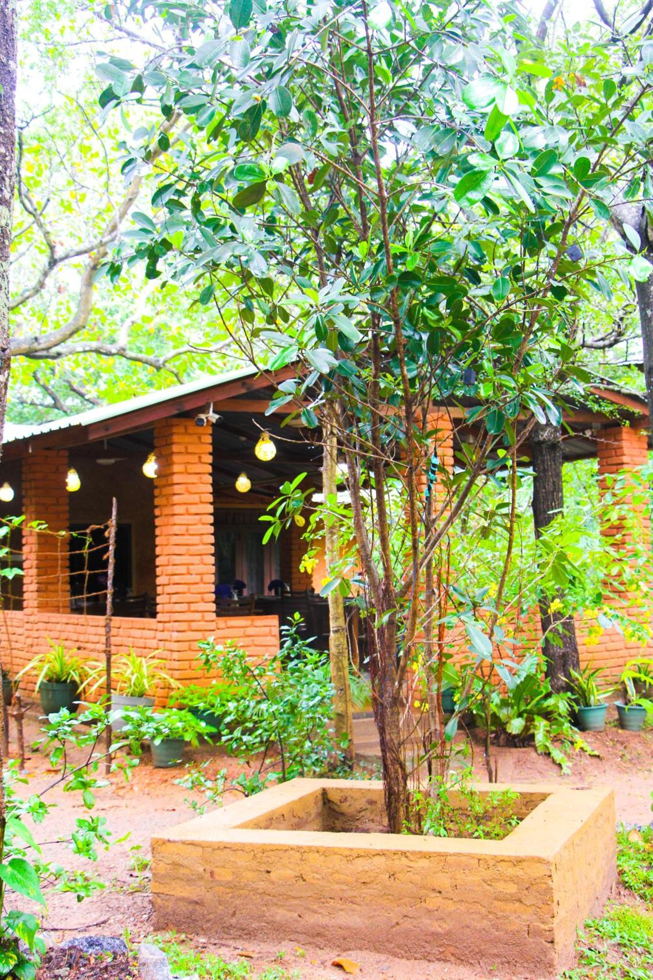 Lotus Eco Villa Сигирия Экстерьер фото